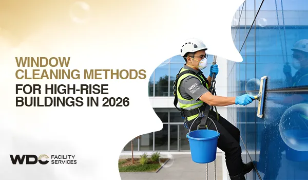 Window Cleaning Methods